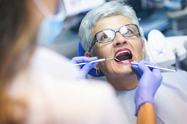 Trusted La Porte, IN Holistic Dental Care Services Experts